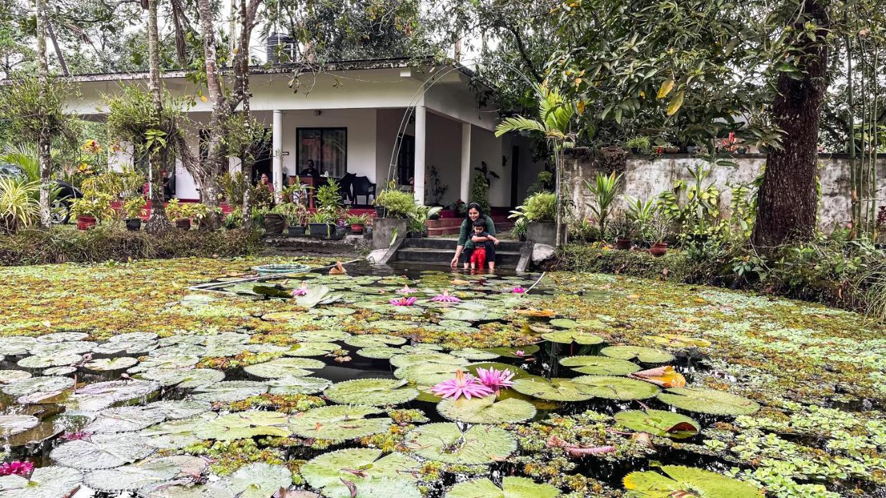 Marari Ebin Charlys Mararikulam