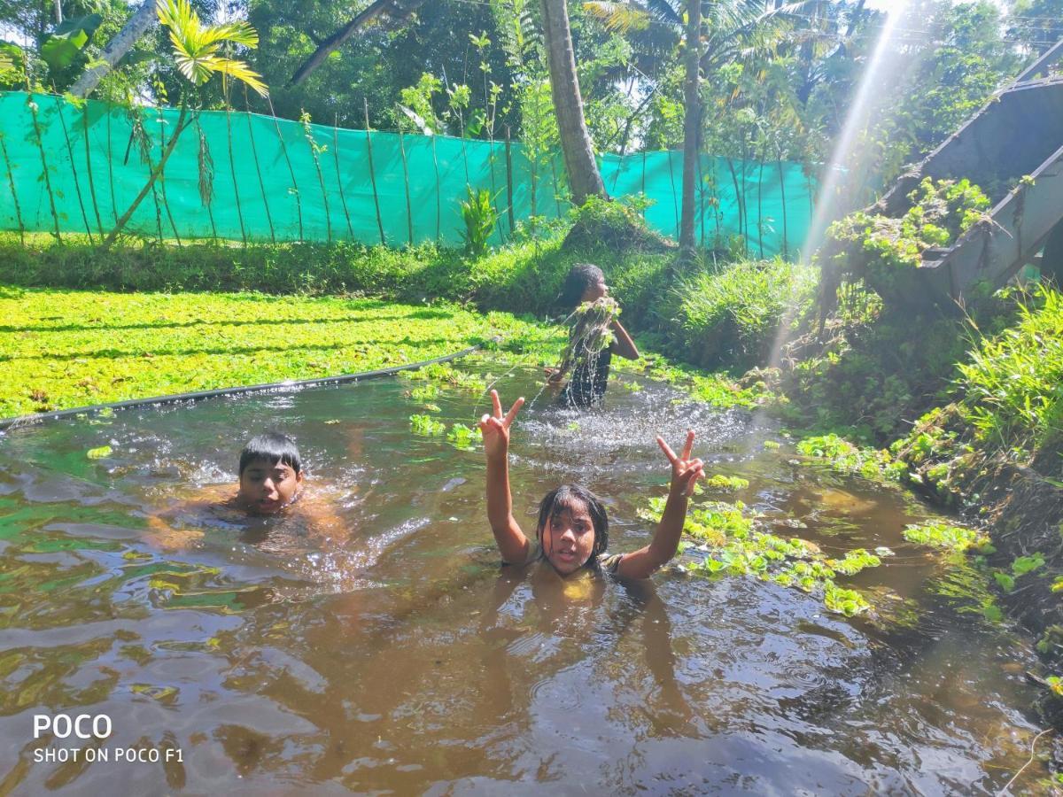 Homestay Marari Ebin Charlys